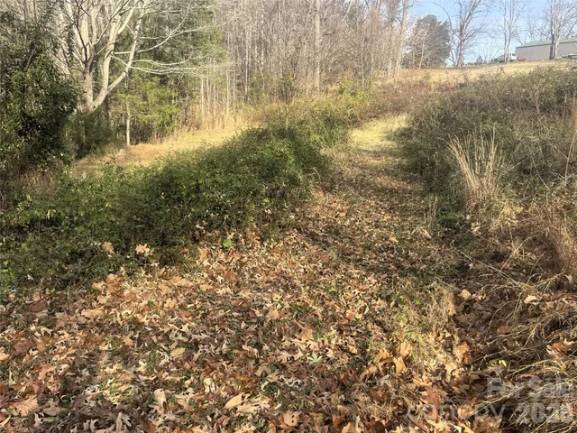 a view of a yard with large trees