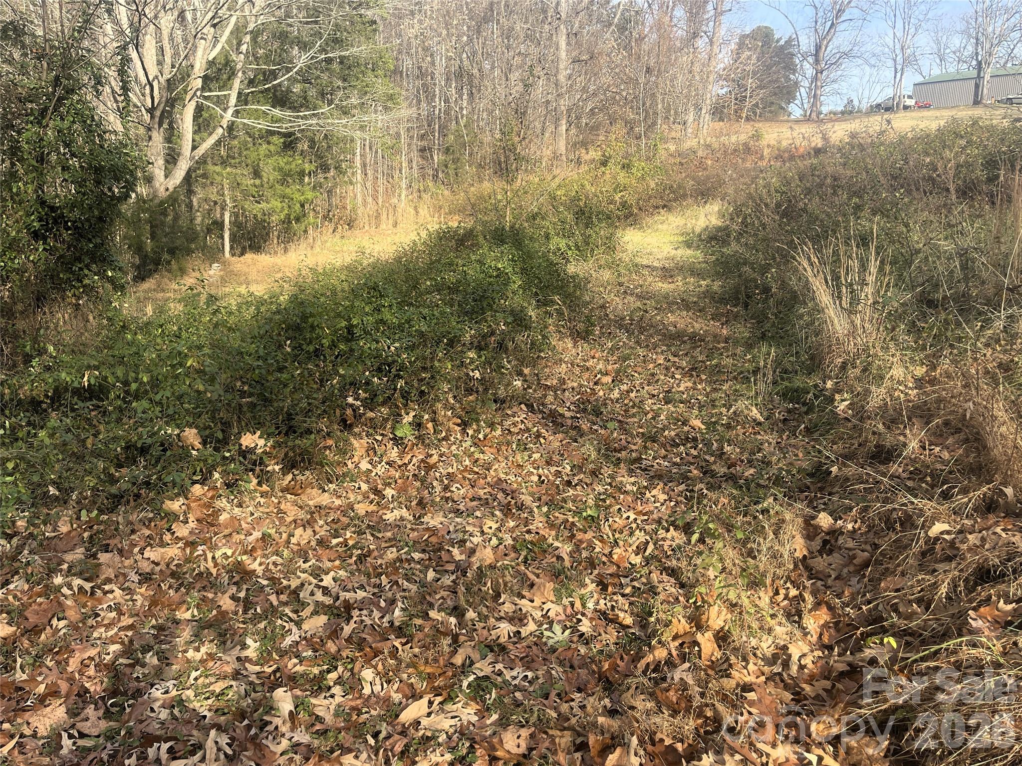 11443 Mooresville Road Davidson, NC 28036 - Photo 9 of 47 a view of a yard