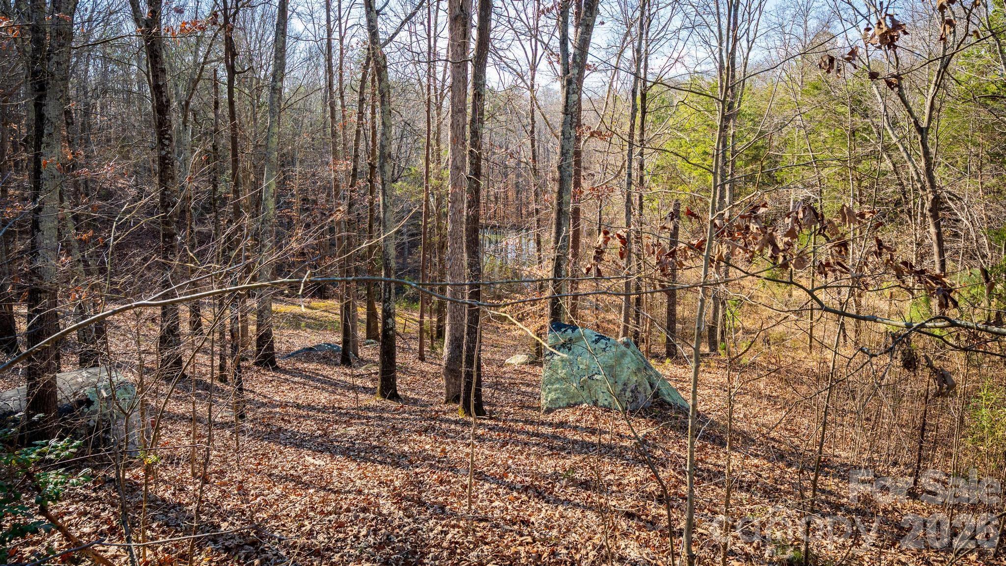 11443 Mooresville Road Davidson, NC 28036 - Photo 10 of 47 a backyard of a house with lots of green space