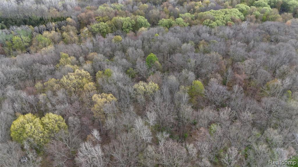 6882 Jones Road North Branch, MI 48461 - Photo 52 of 64