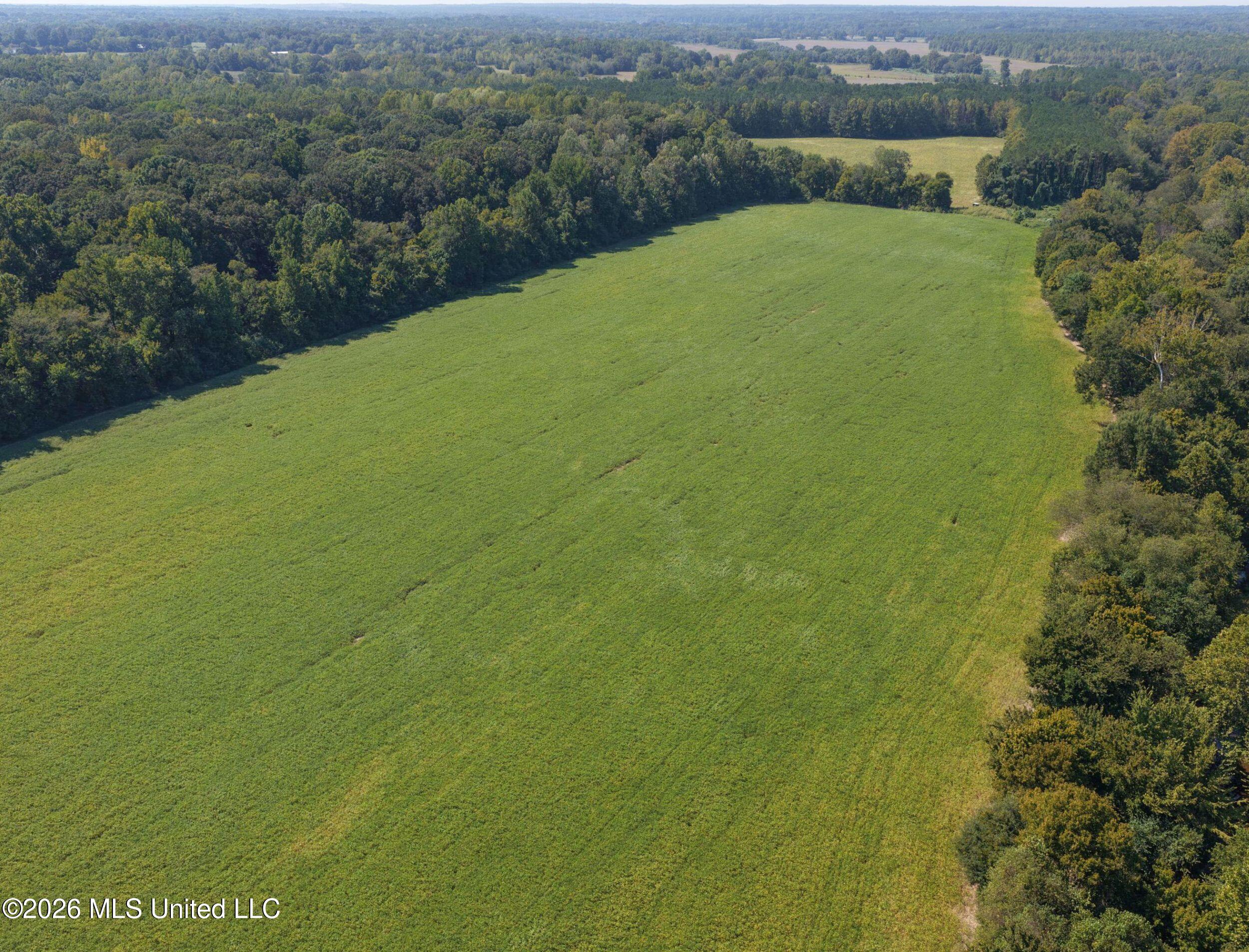 48-ac Old Panola Road Sardis, MS 38666 - Photo 26 of 30 7trtrwest11