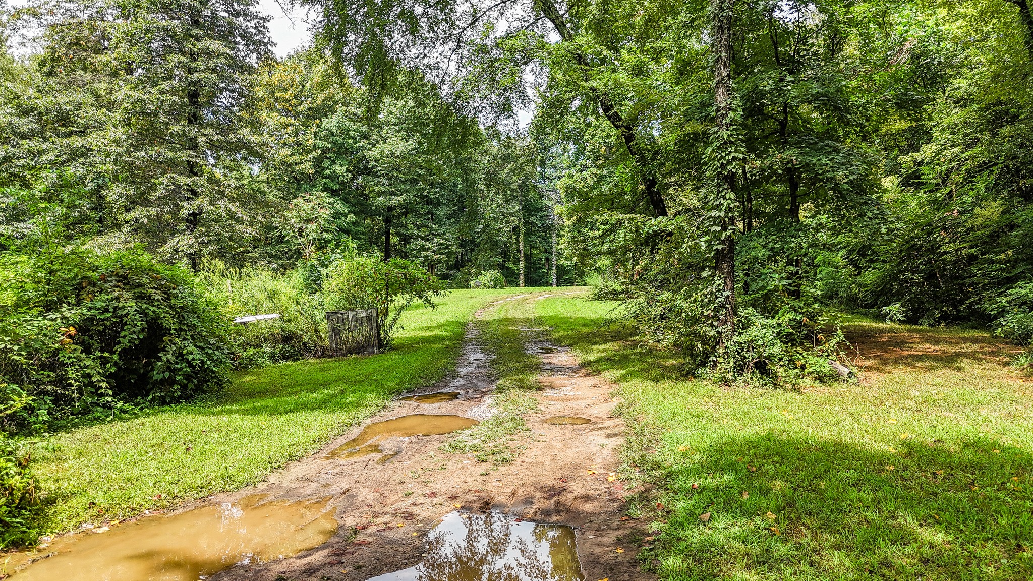 715 Union Ridge Road Wartrace, TN 37183 - Photo 8 of 18