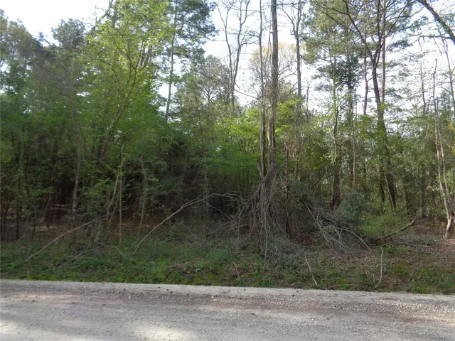 $150,000 | 0 Old Colony Road, Huntsville, TX 77320