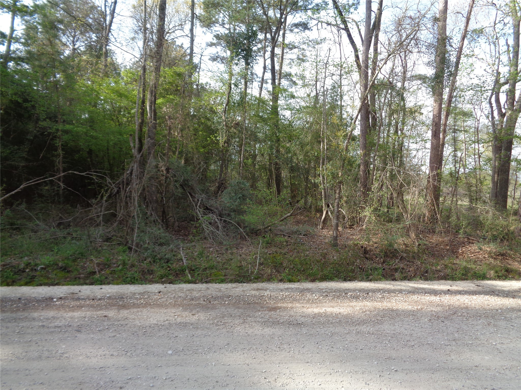 0 Old Colony Road Huntsville, TX 77320 - Photo 2 of 3