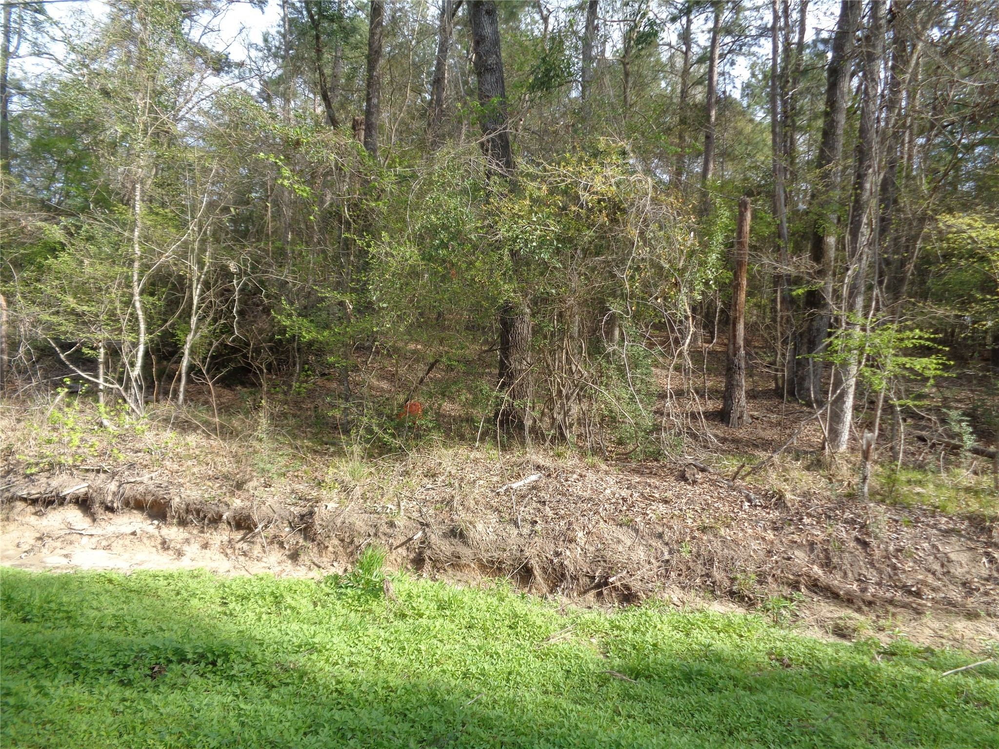 0 Old Colony Road Huntsville, TX 77320 - Photo 3 of 3