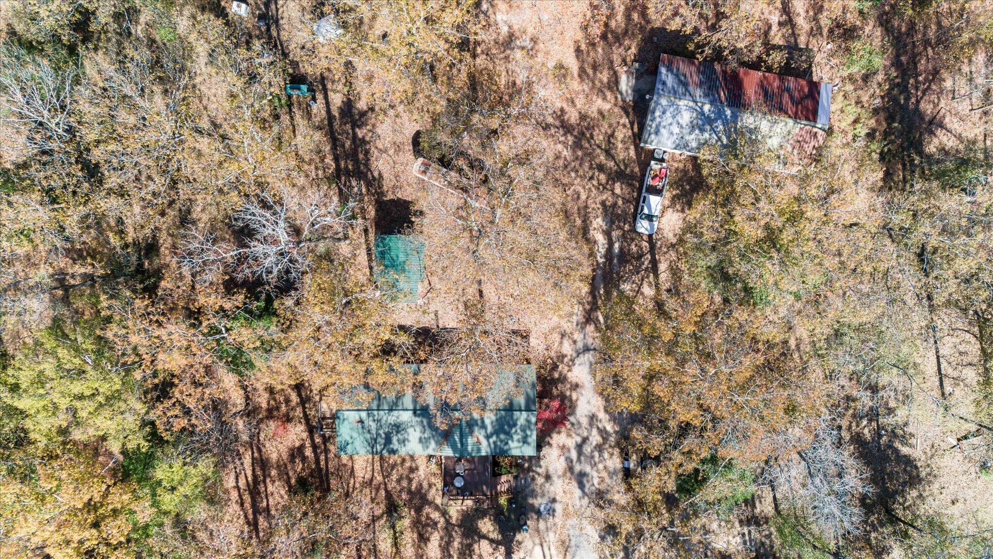 529 Cumbee Trail Road Ridge Spring, SC 29129 - Photo 56 of 60 59-059-