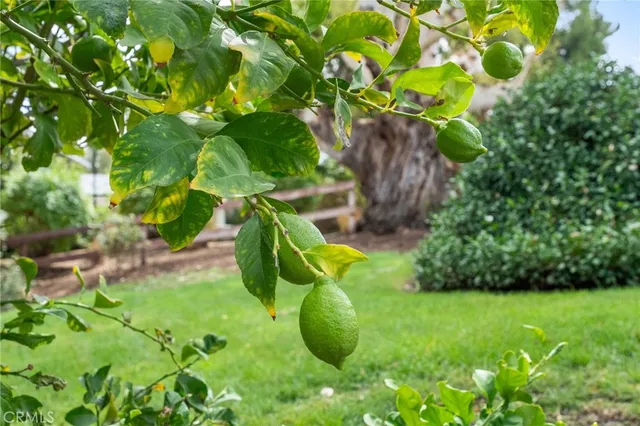 $1,389,000 | 41070 Avenida Verde, Temecula, CA 92591