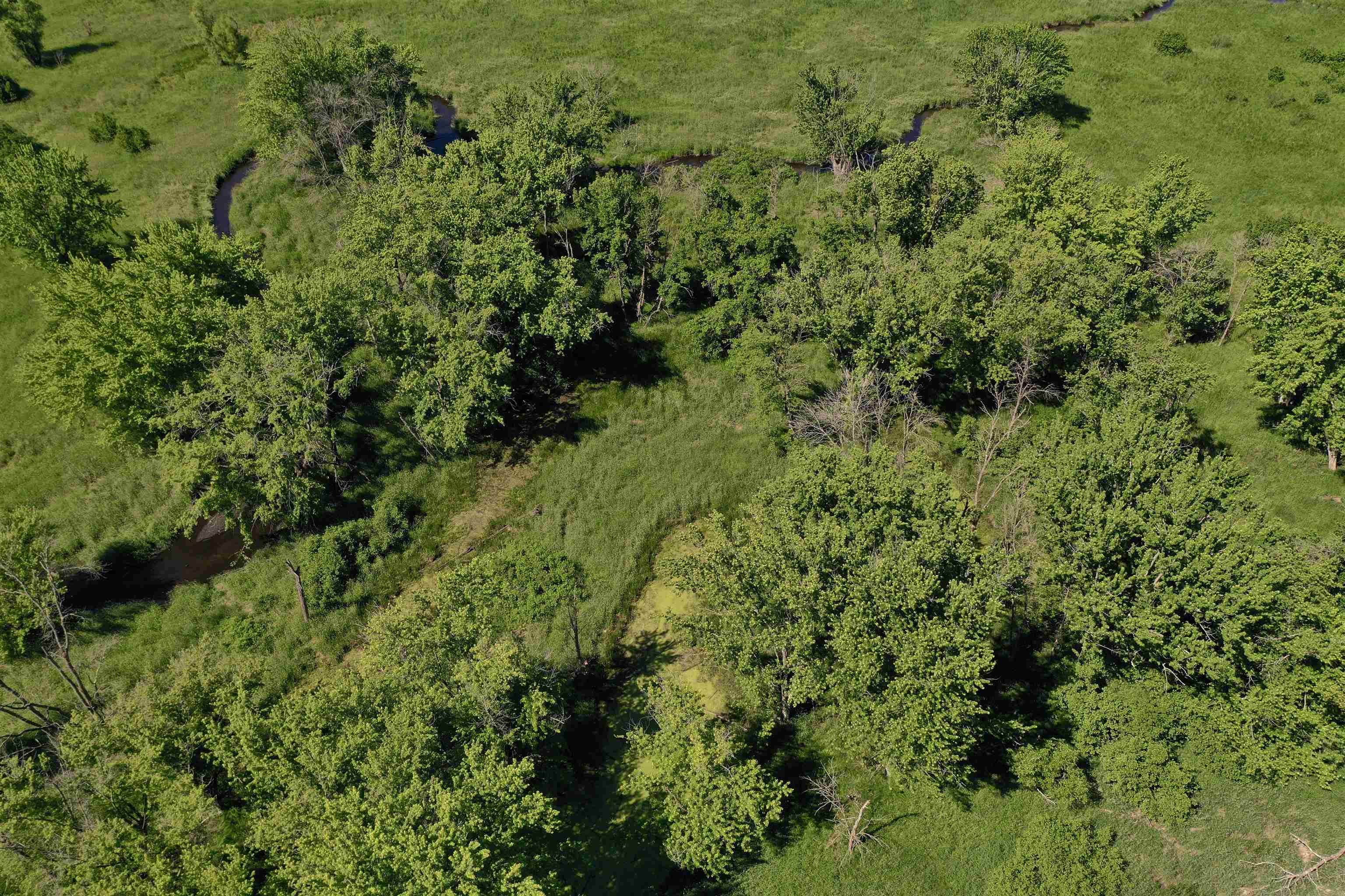 County Road Montello, WI 53949 - Photo 4 of 22