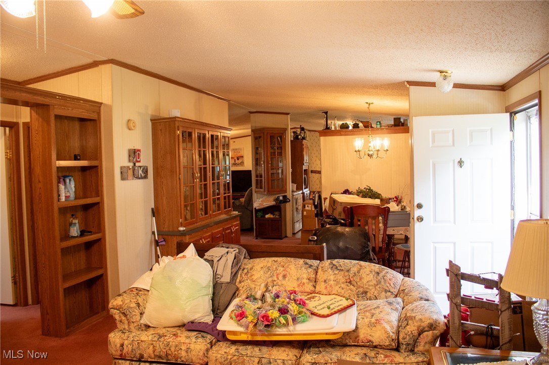 61691 Wintergreen Road Lore City, OH 43755 - Photo 13 of 50 Living room featuring ornamental molding, a textured ceiling, a chandelier, and carpet floors