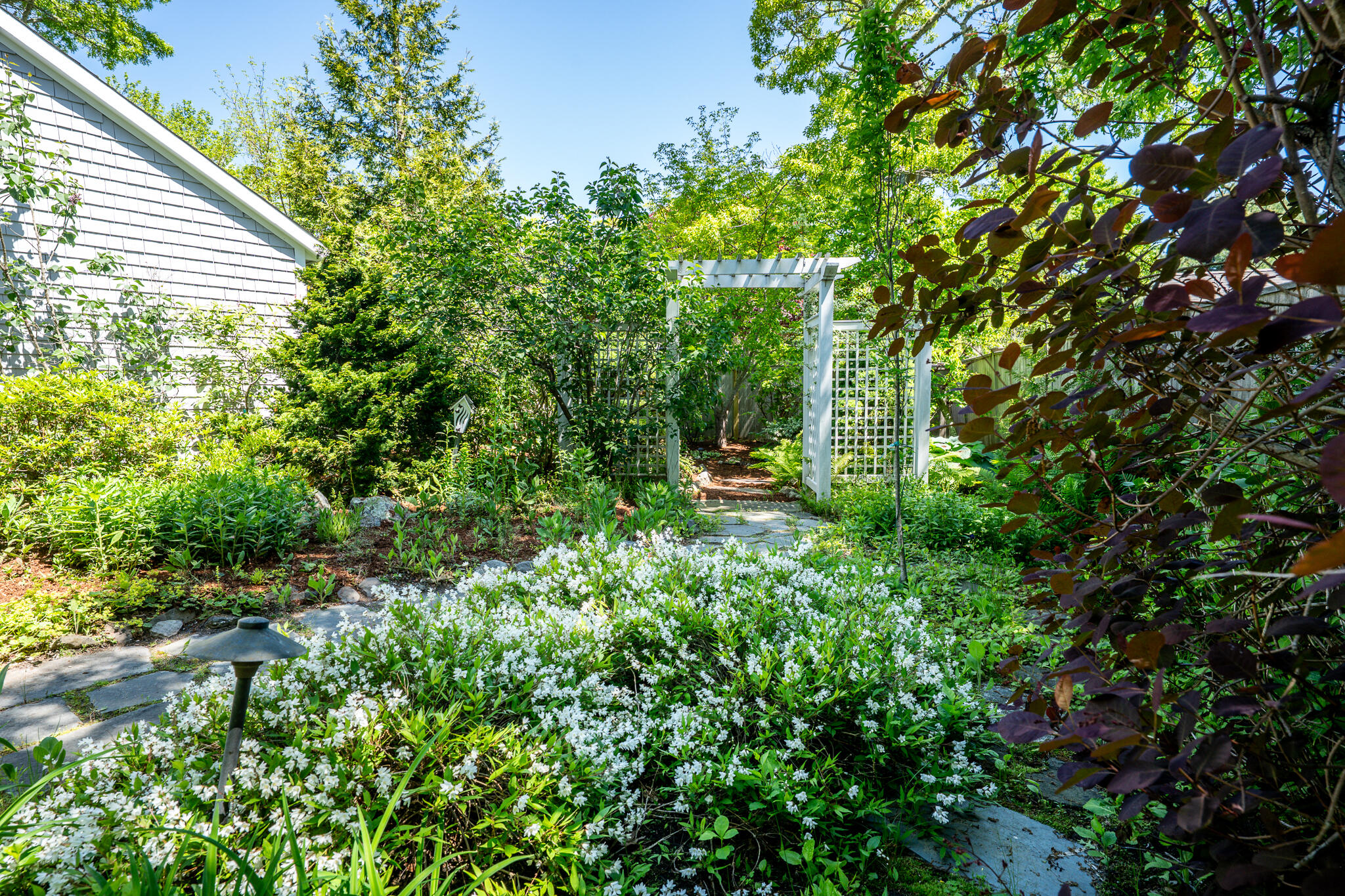96 Greensward Road Mashpee, MA 02649 - Photo 45 of 49 back11 (2)