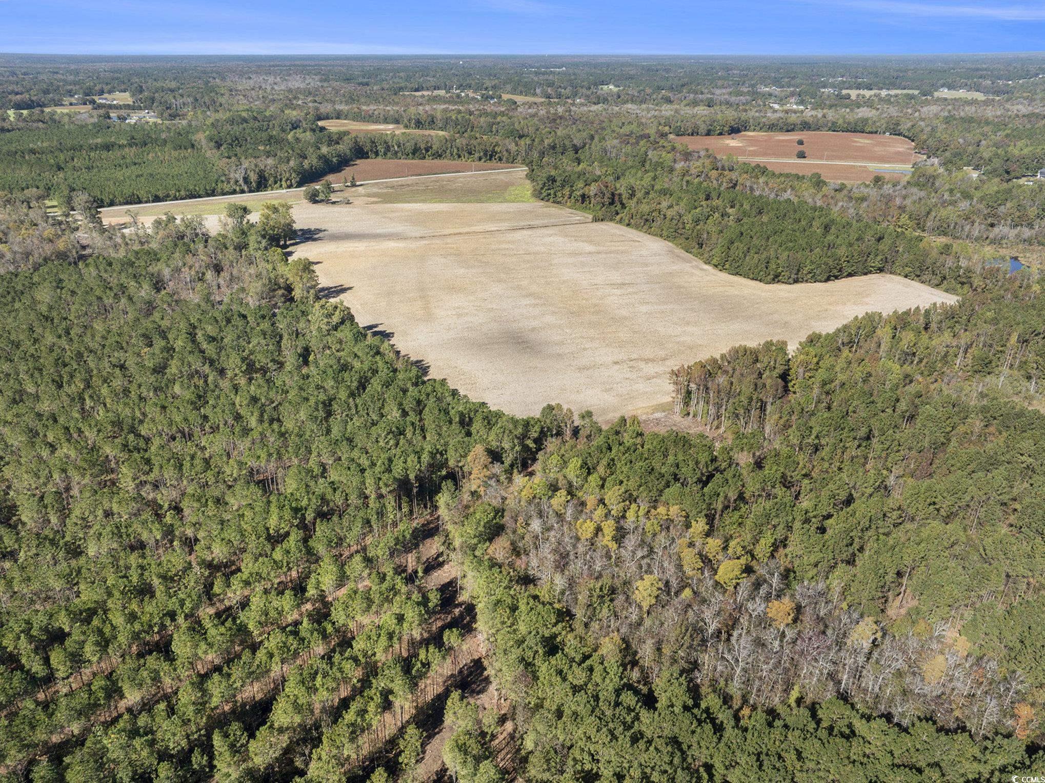 4560 Bottle Branch Road Conway, SC 29527 - Photo 11 of 30 Aerial view of property and surrounding area with a forest