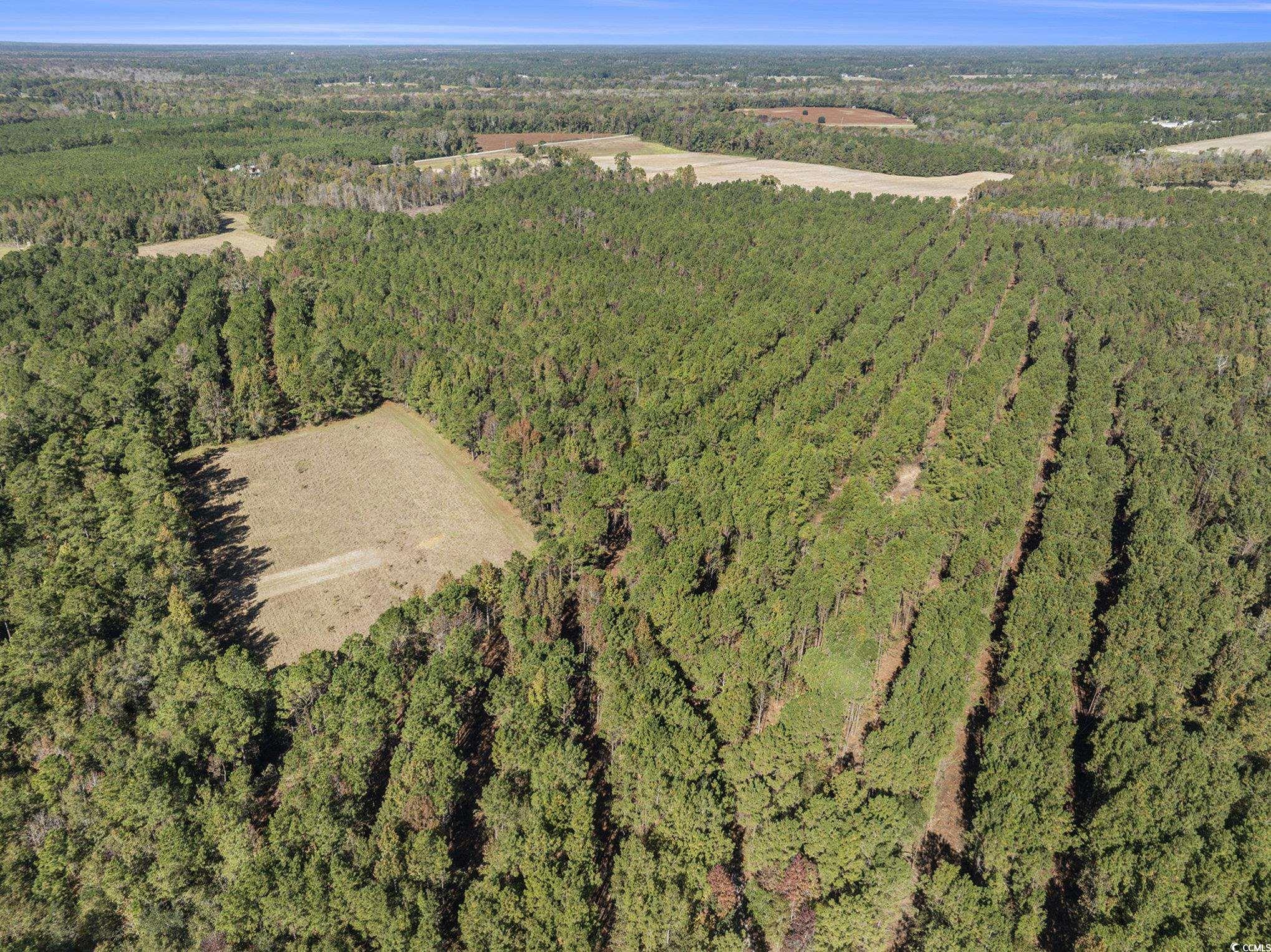 4560 Bottle Branch Road Conway, SC 29527 - Photo 12 of 30 Aerial overview of property's location with a forest