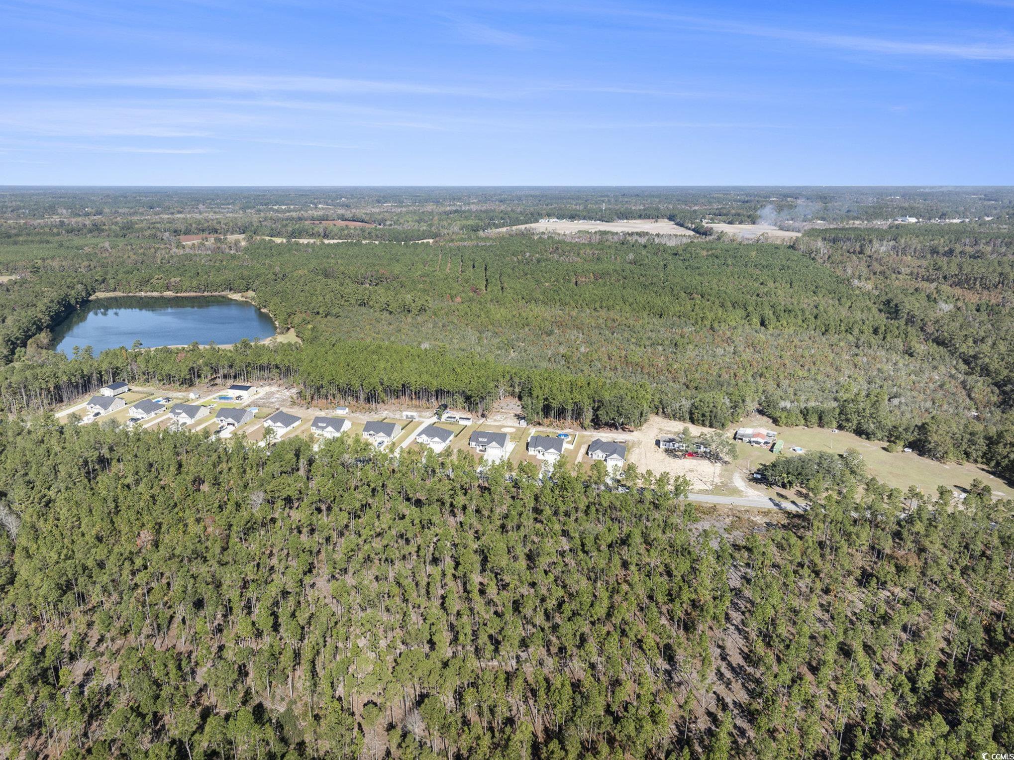 4560 Bottle Branch Road Conway, SC 29527 - Photo 16 of 30 Aerial view of property's location with a forest and a nearby body of water