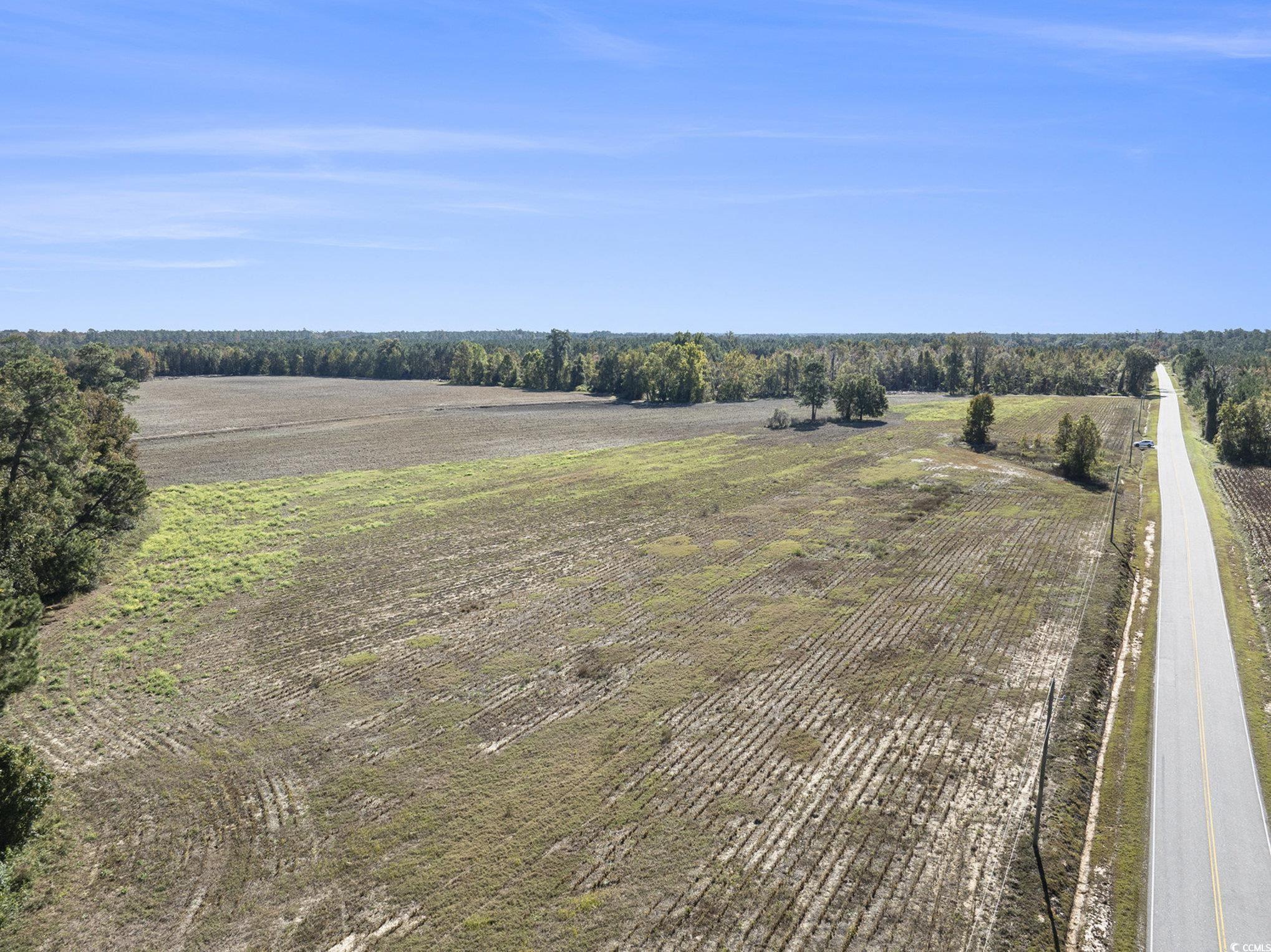 4560 Bottle Branch Road Conway, SC 29527 - Photo 17 of 30 Aerial view of sparsely populated area with extensive farmland