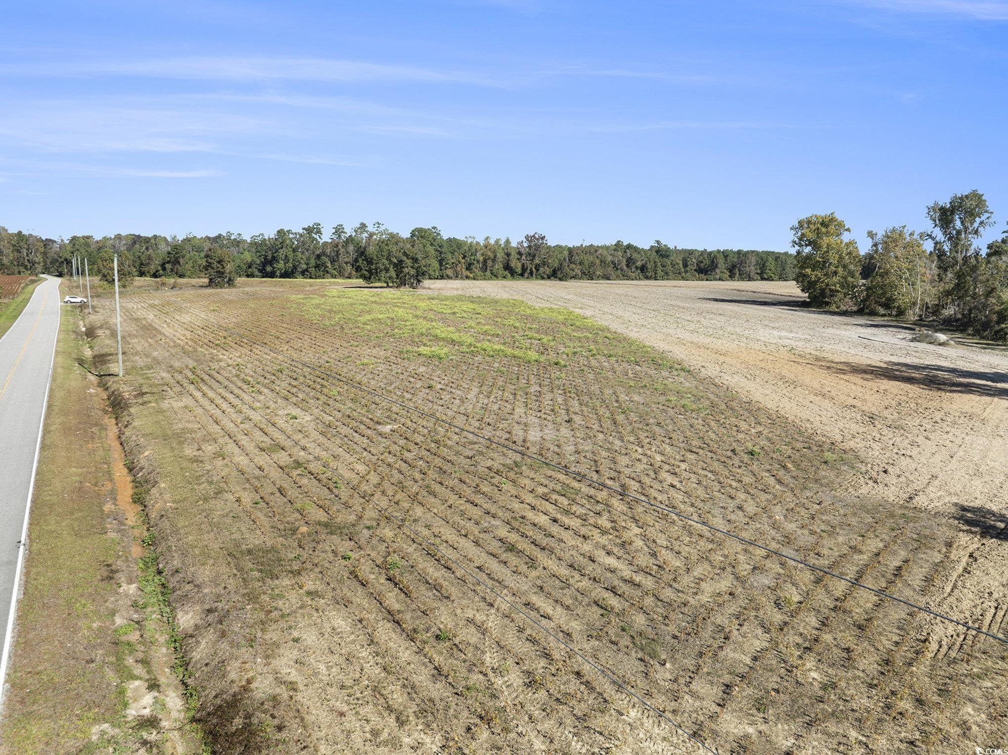 4560 Bottle Branch Road Conway, SC 29527 - Photo 18 of 30 View of street featuring a rural view and agricultural plots