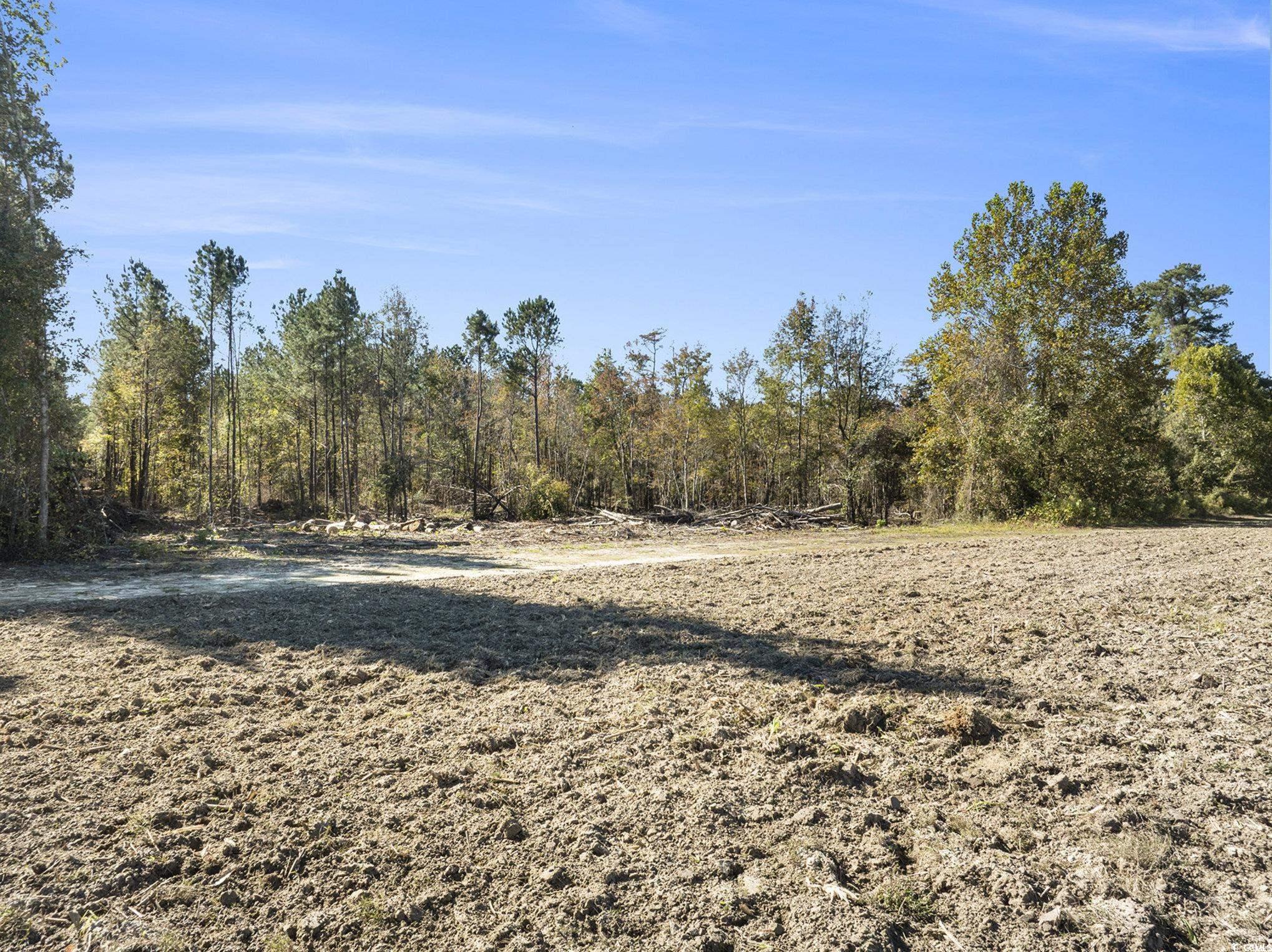 4560 Bottle Branch Road Conway, SC 29527 - Photo 19 of 30 View of local wilderness