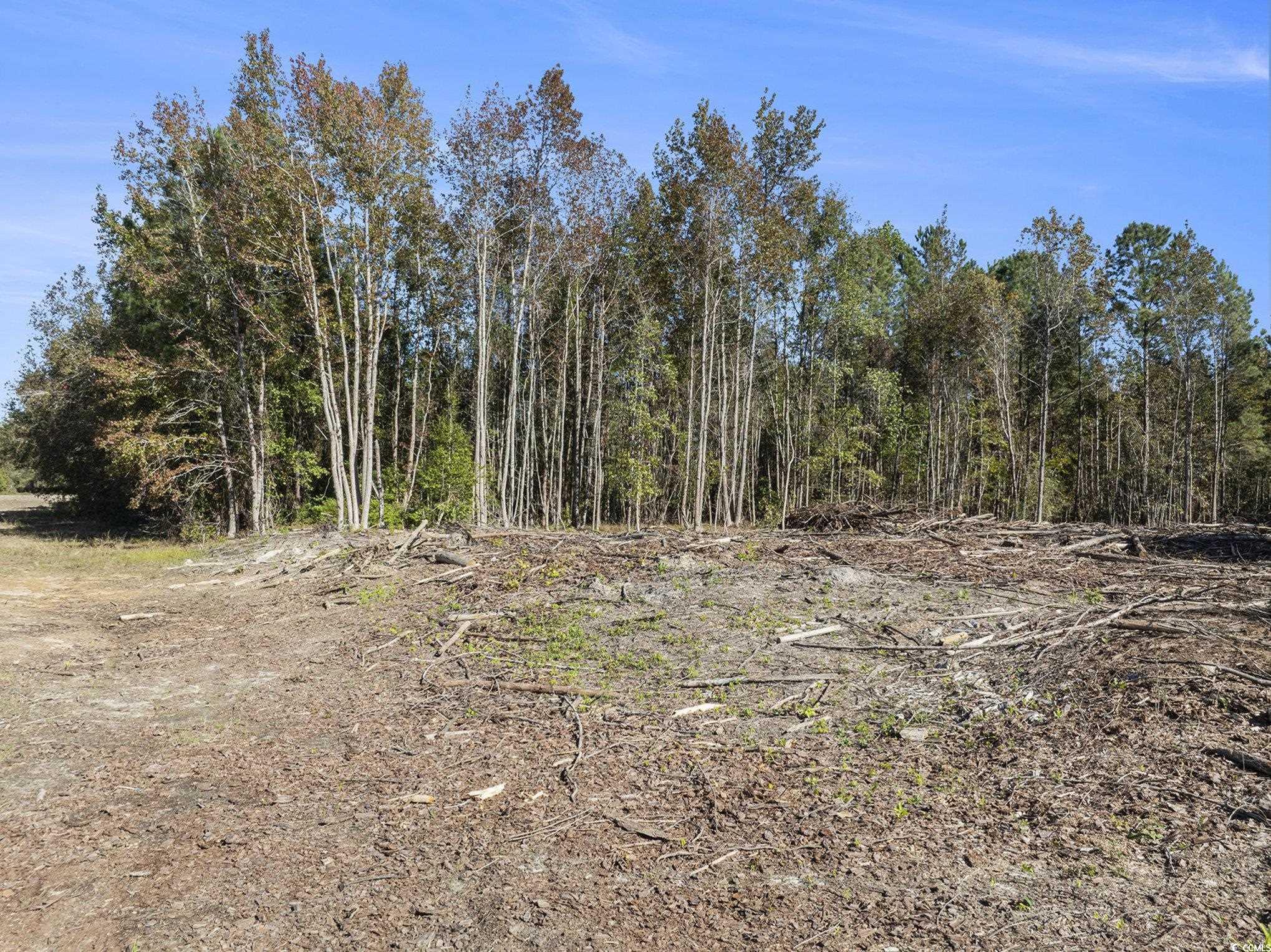 4560 Bottle Branch Road Conway, SC 29527 - Photo 21 of 30 View of tree filled area