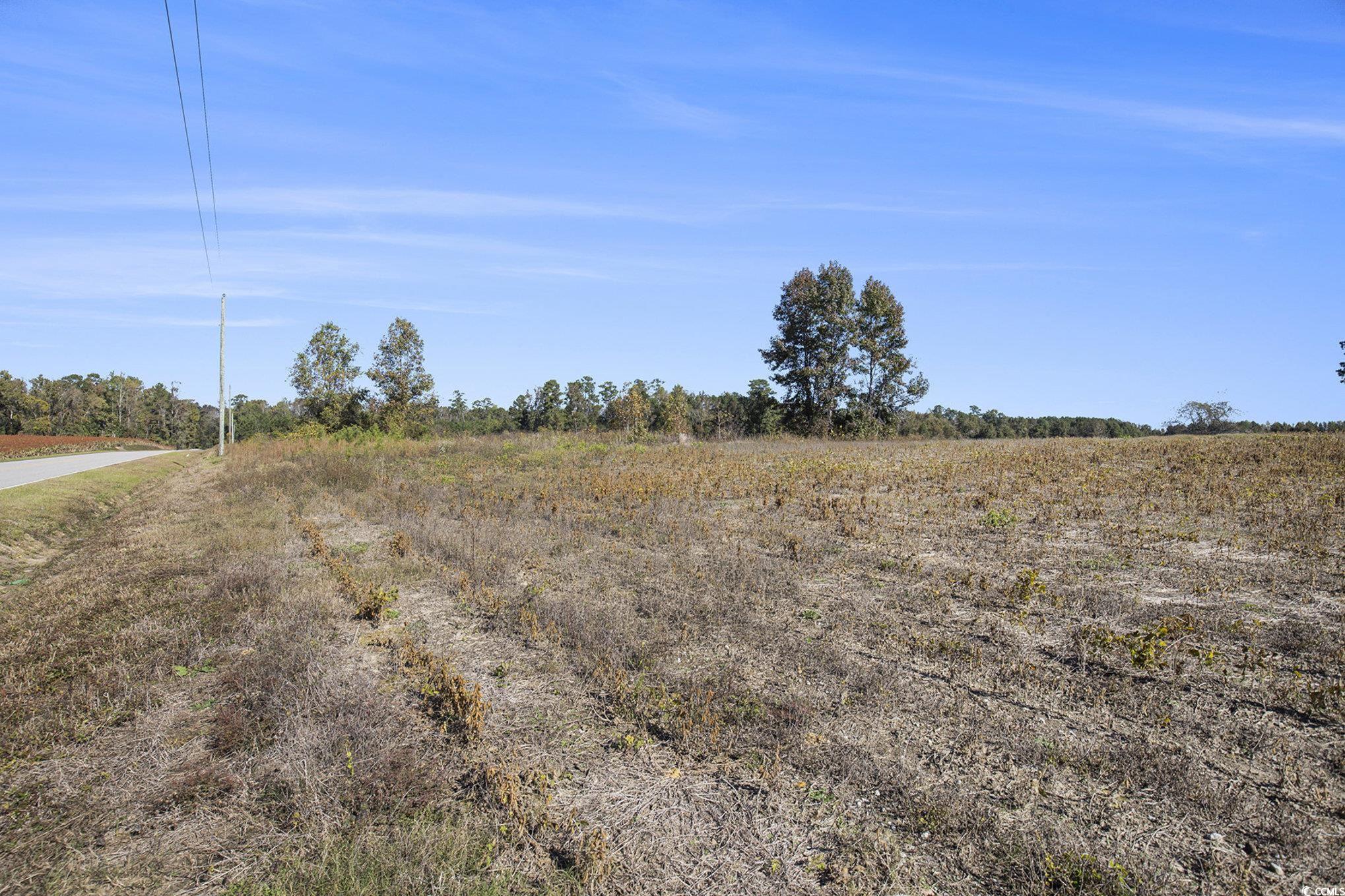 4560 Bottle Branch Road Conway, SC 29527 - Photo 23 of 30 View of nature with rural landscape