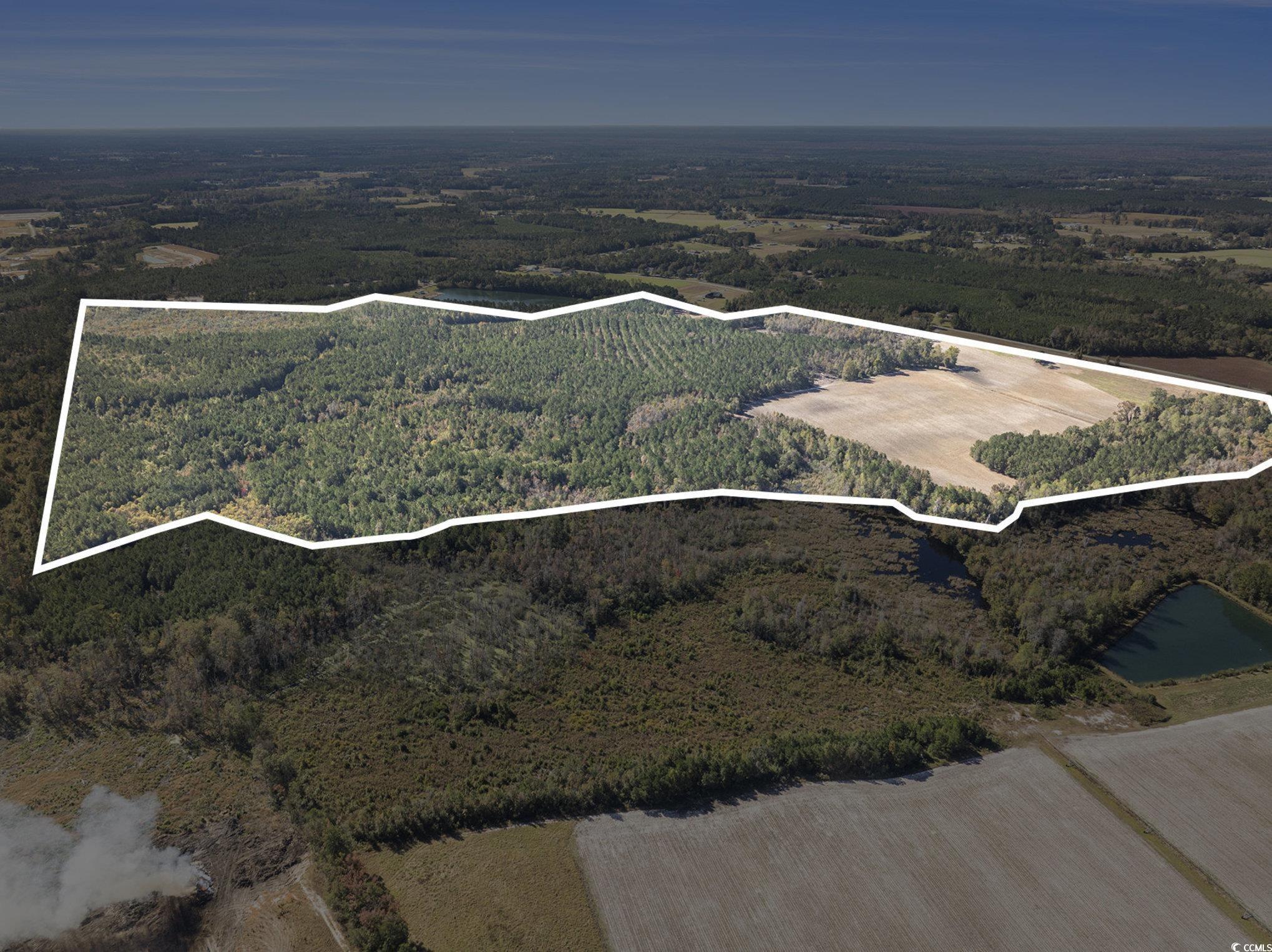 4560 Bottle Branch Road Conway, SC 29527 - Photo 24 of 30 View of property location featuring property boundaries highlighted