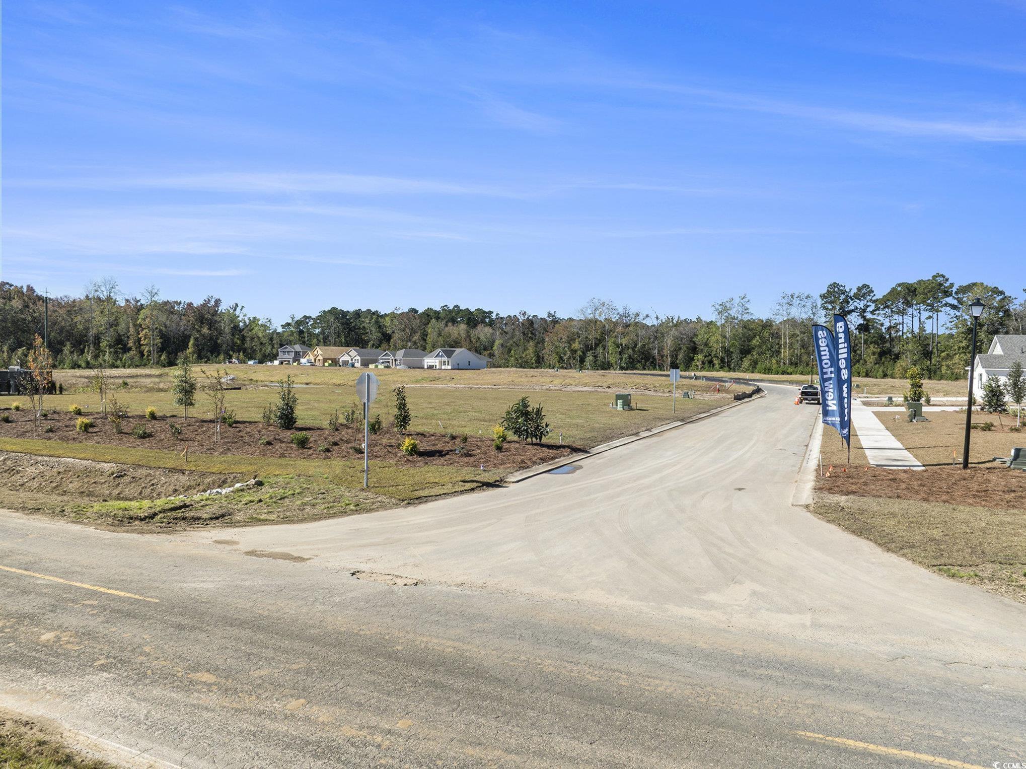 4560 Bottle Branch Road Conway, SC 29527 - Photo 28 of 30