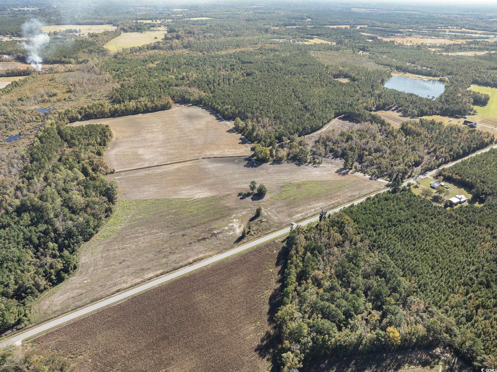 4560 Bottle Branch Road Conway, SC 29527 - Photo 3 of 30 View of property location with a large body of water and a forest