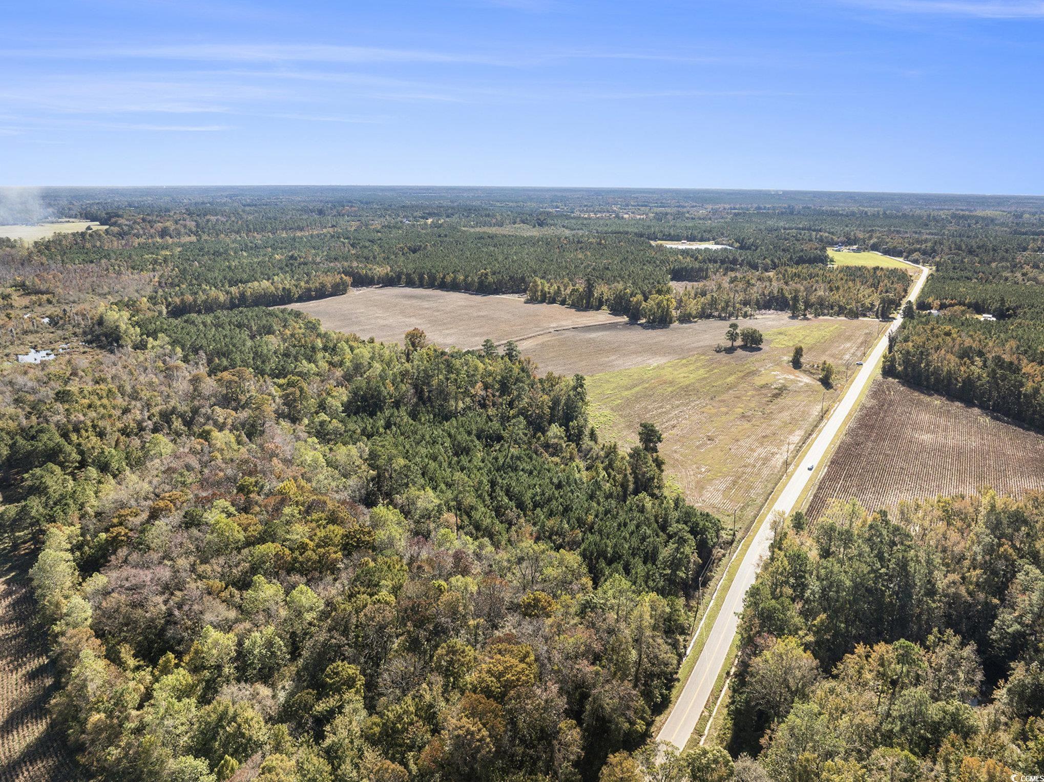 4560 Bottle Branch Road Conway, SC 29527 - Photo 5 of 30 Drone / aerial view of a forest