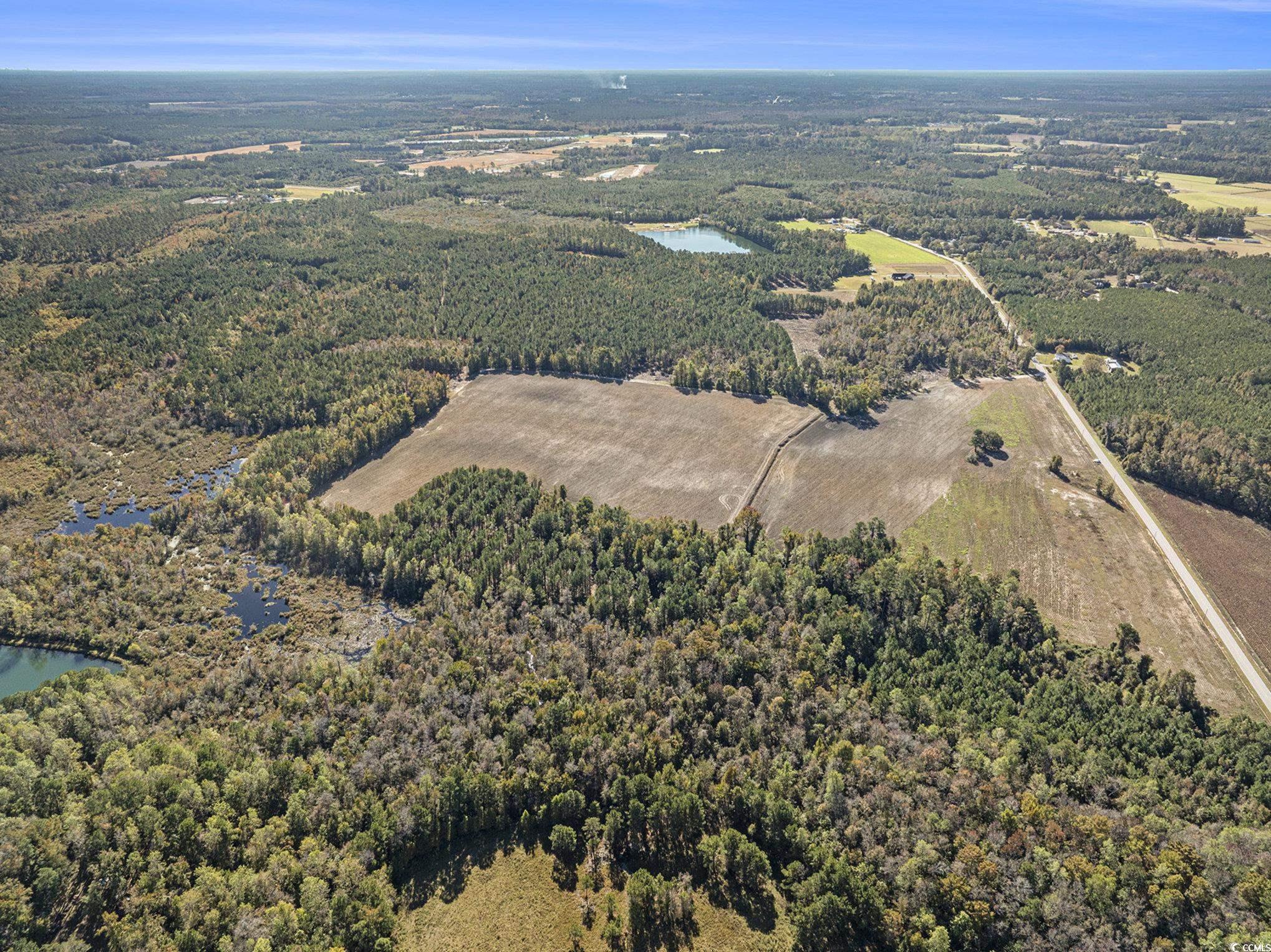 4560 Bottle Branch Road Conway, SC 29527 - Photo 6 of 30 Aerial view of property and surrounding area featuring a heavily wooded area and a nearby body of water
