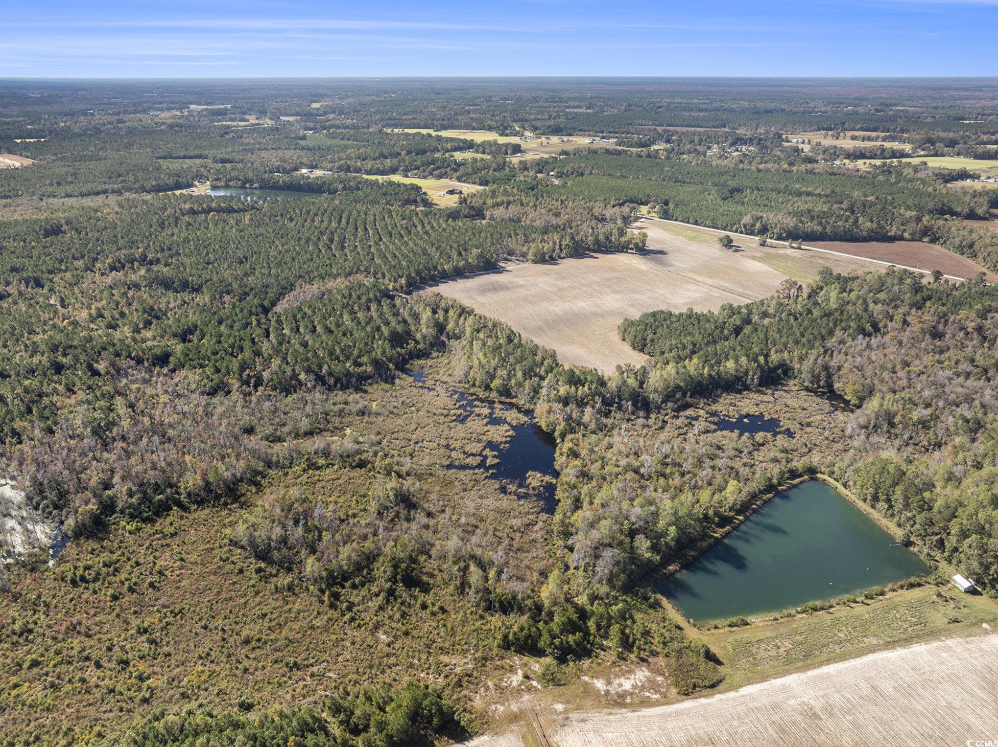4560 Bottle Branch Road Conway, SC 29527 - Photo 7 of 30 View of property location with a nearby body of water and a forest