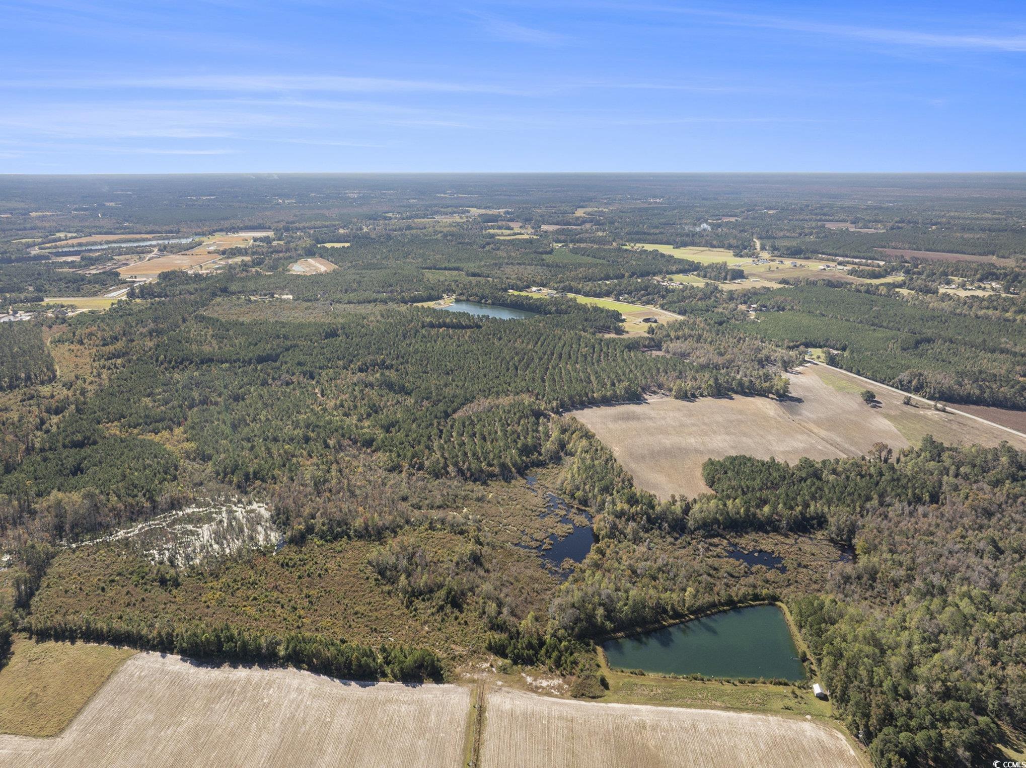 4560 Bottle Branch Road Conway, SC 29527 - Photo 8 of 30 View of property location with a large body of water and rural landscape