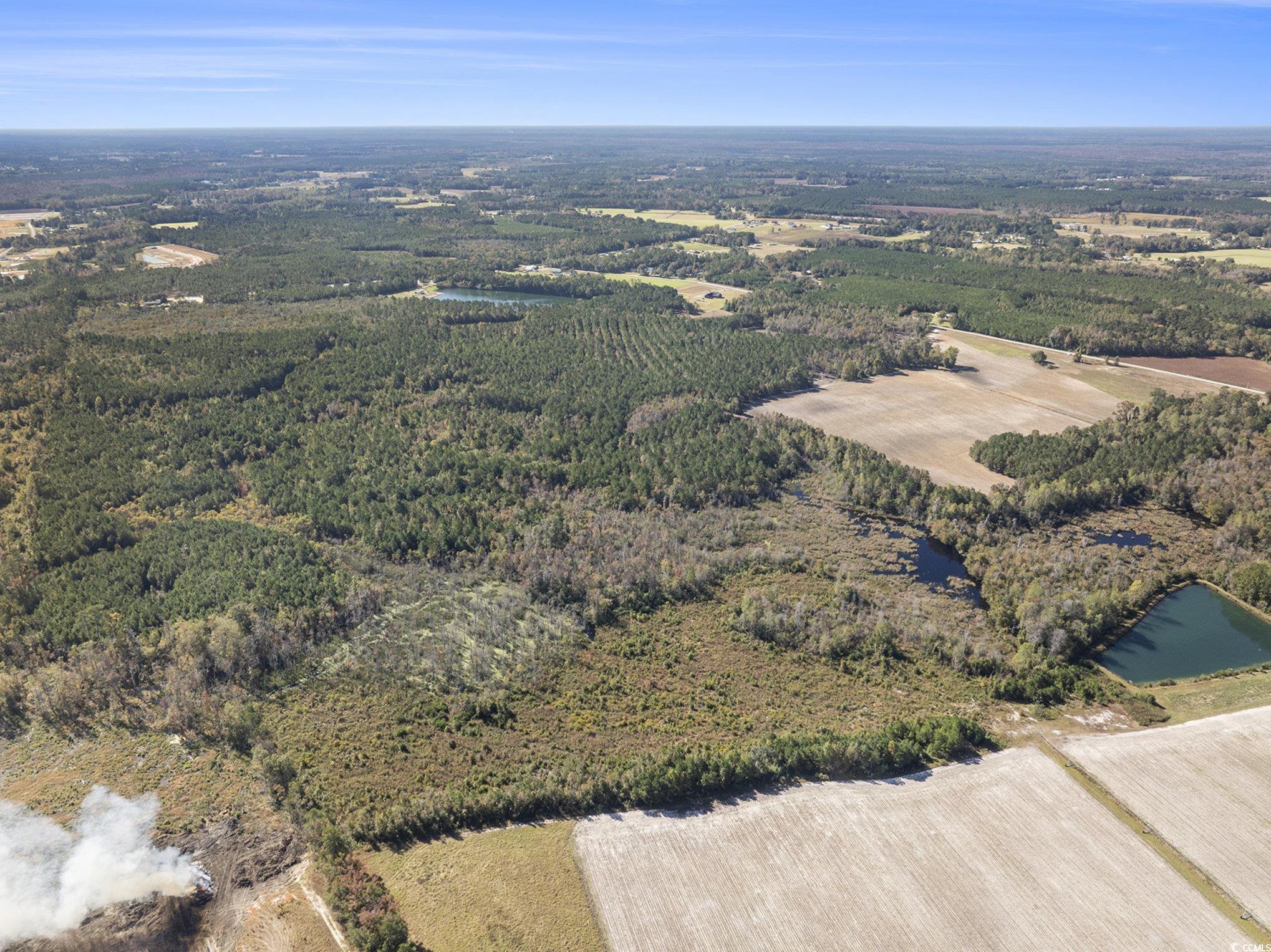 4560 Bottle Branch Road Conway, SC 29527 - Photo 9 of 30 Aerial view of property's location