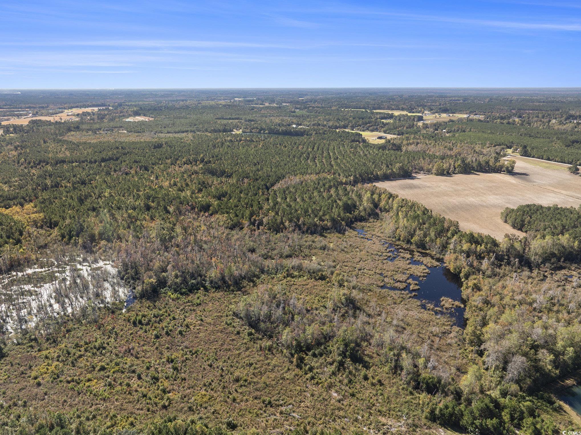 4560 Bottle Branch Road Conway, SC 29527 - Photo 10 of 30 Bird's eye view of a nearby body of water and a heavily wooded area