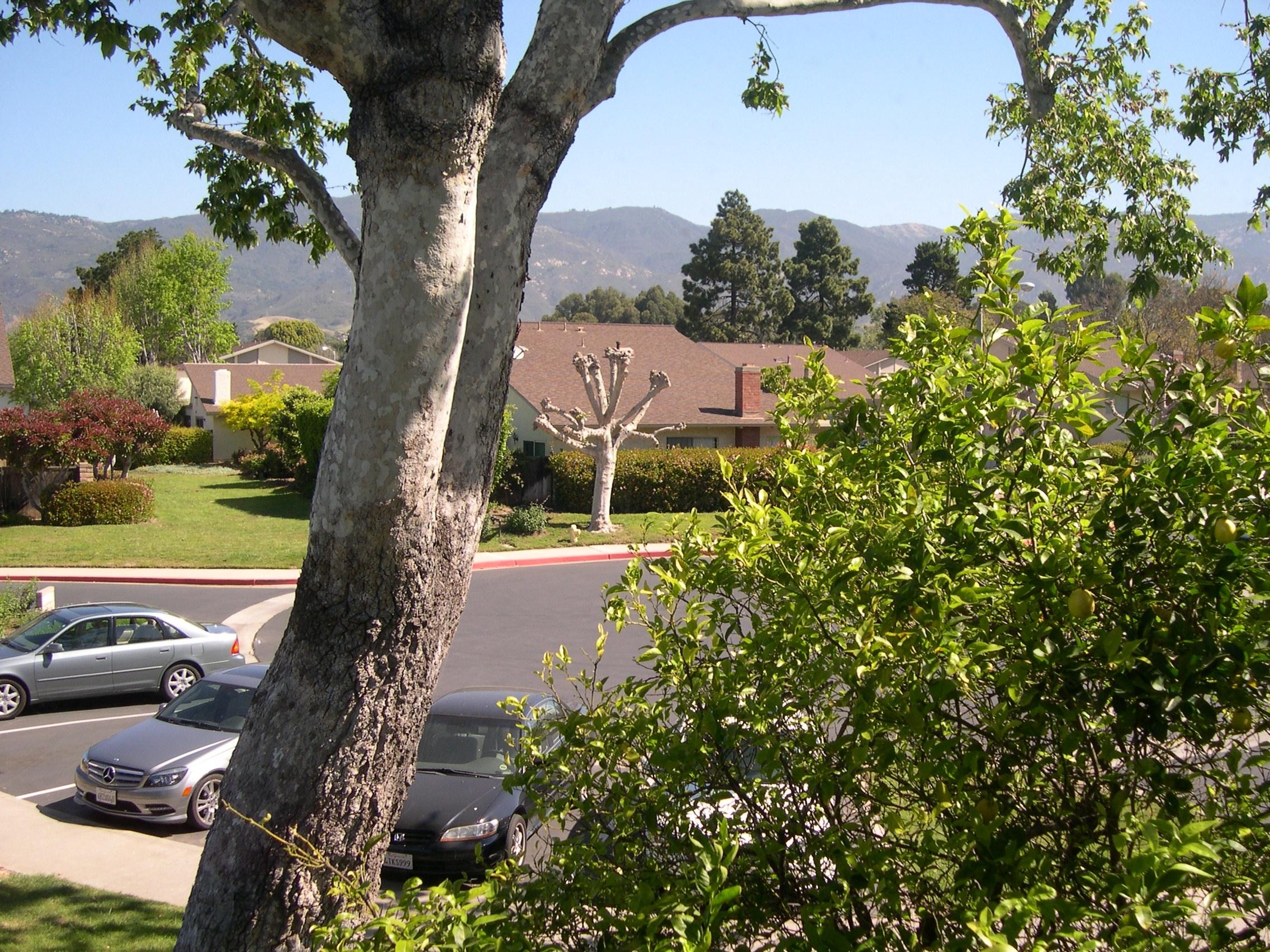 37 North San Marcos Road, Unit A Santa Barbara, CA 93111 - Photo 10 of 12 DSCN3465
