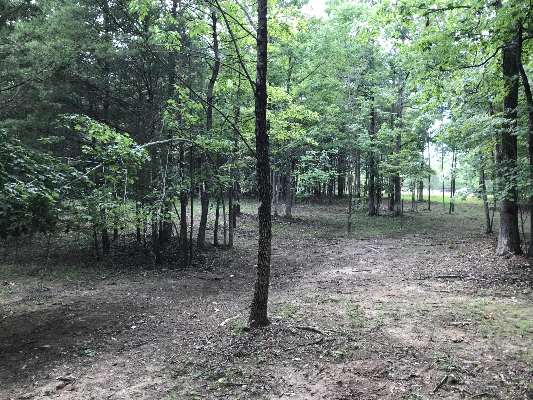 0 Quail Trail Dunlap, TN 37327 - Photo 3 of 36