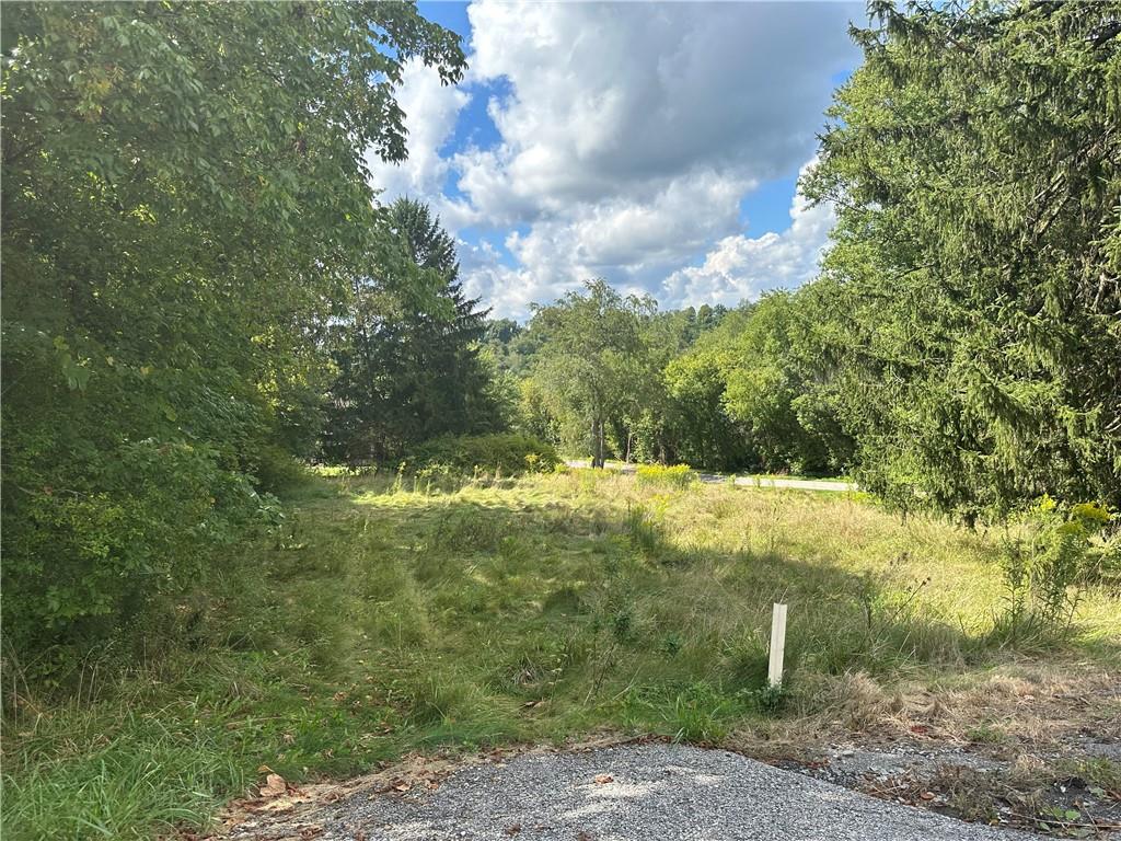 79 3rd Street Atlasburg, PA 15021 - Photo 2 of 4 a view of a yard with large trees