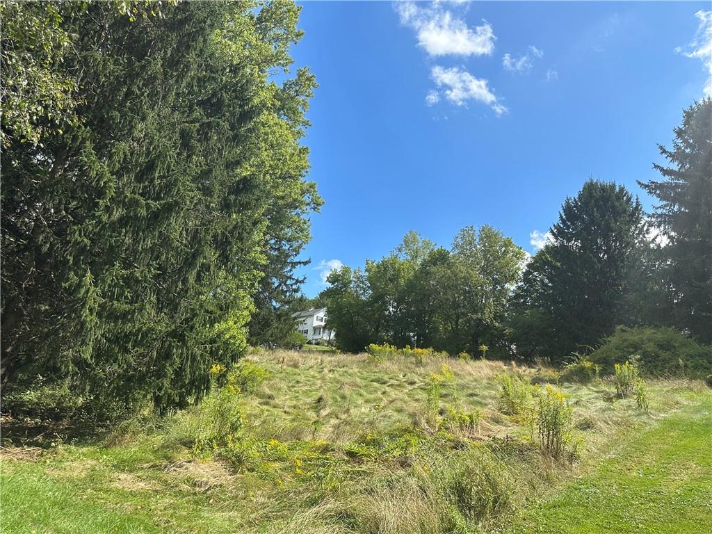 79 3rd Street Atlasburg, PA 15021 - Photo 3 of 4 a view of a yard with a tree