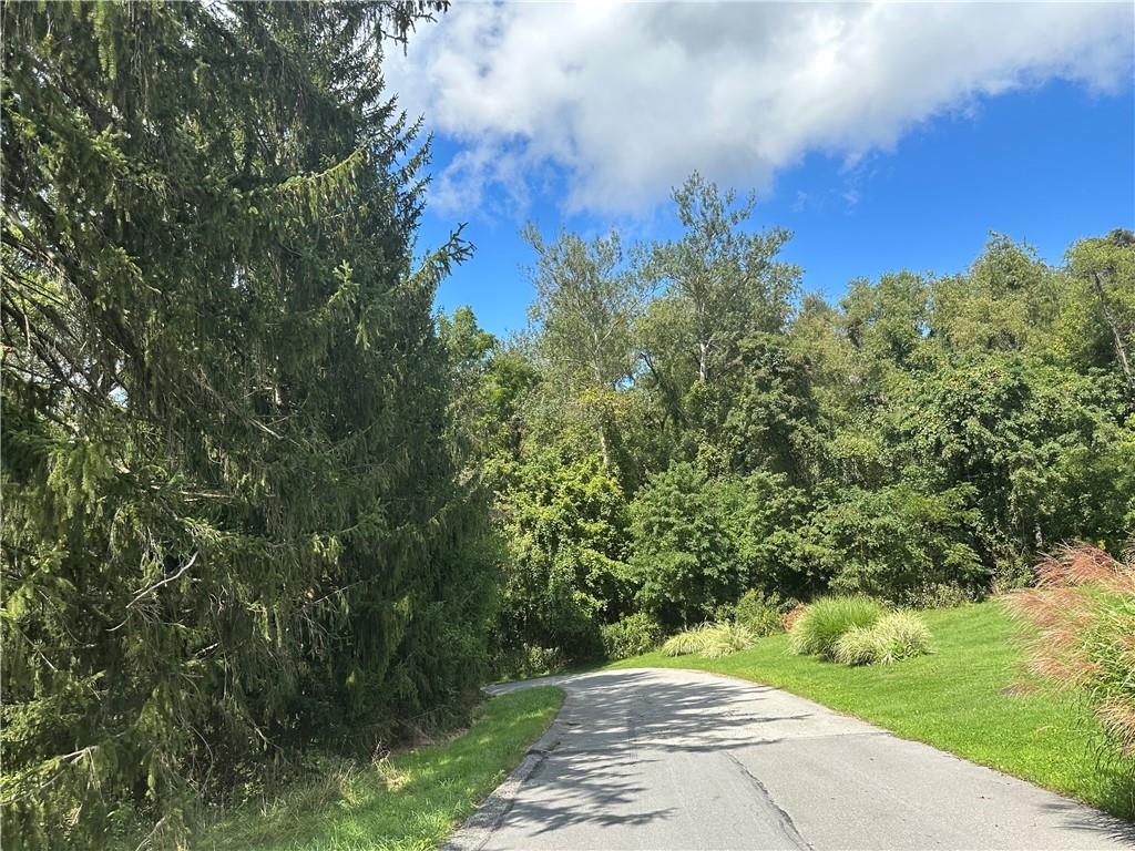 79 3rd Street Atlasburg, PA 15021 - Photo 4 of 4 a view of a yard with an trees