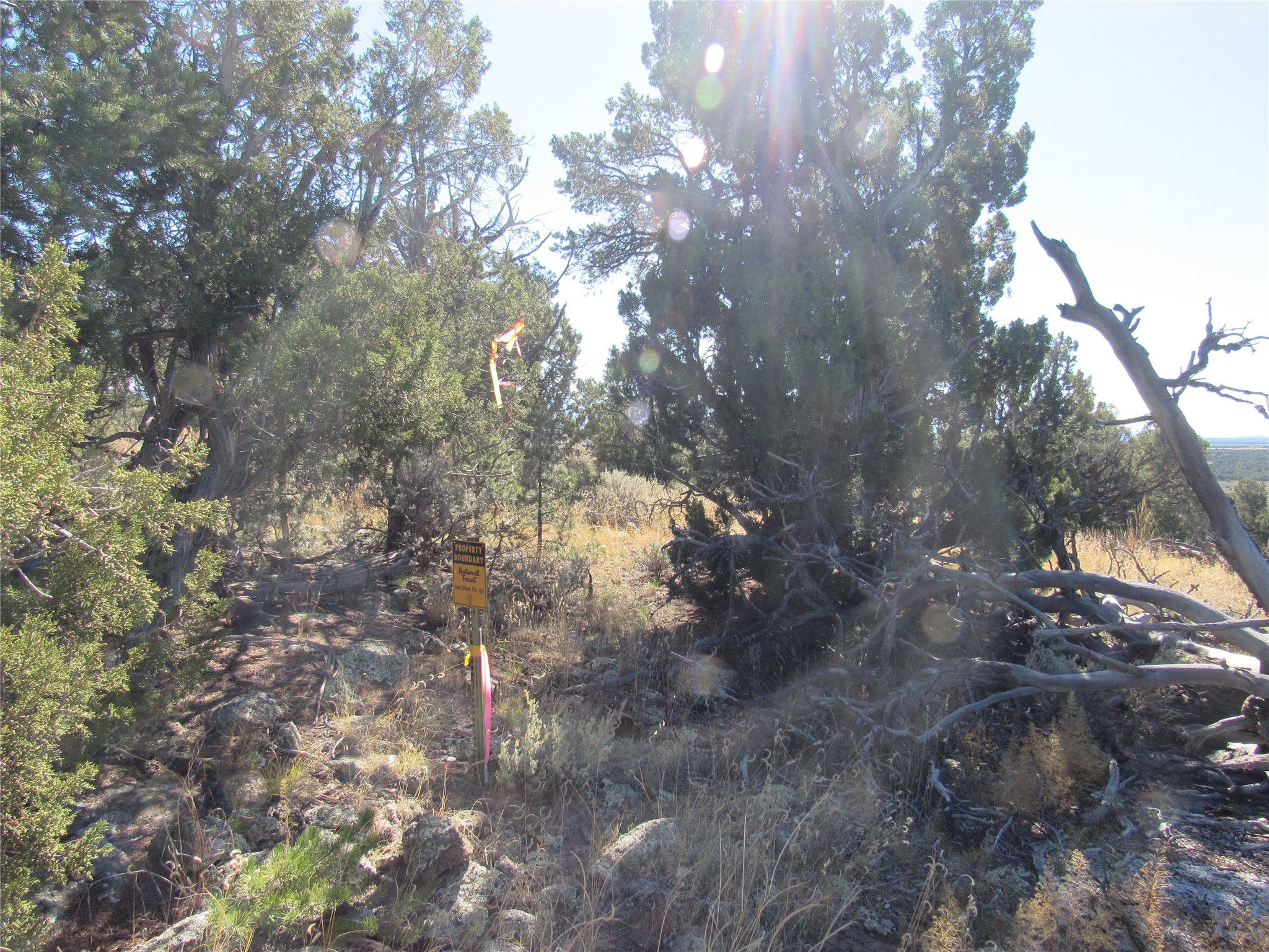 Lot 57 Servilleta Carson, NM 87517 - Photo 5 of 10
