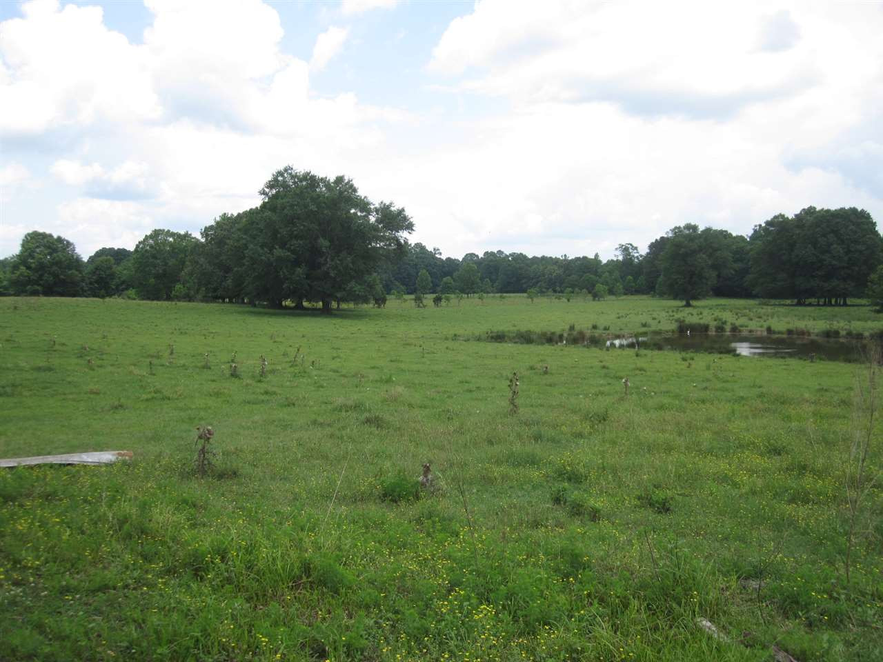 456 Hazel-Conehetta Road Lake, MS 39092 - Photo 6 of 14 Photo 6