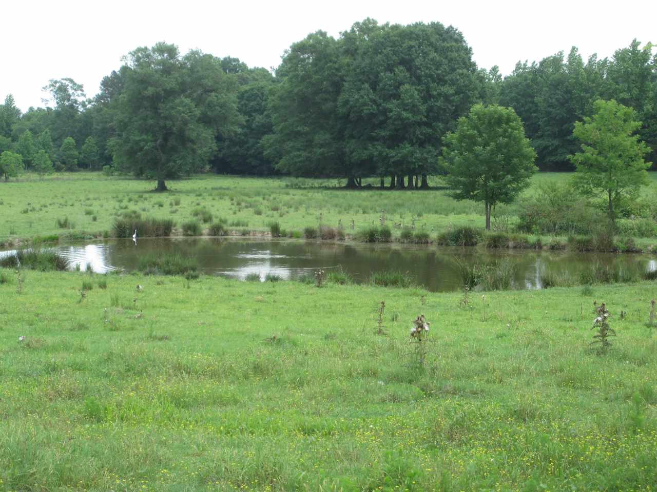 456 Hazel-Conehetta Road Lake, MS 39092 - Photo 7 of 14 Photo 7