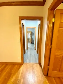 $1,800 | 5225 West Deming Place, Unit 2, Chicago, IL 60639