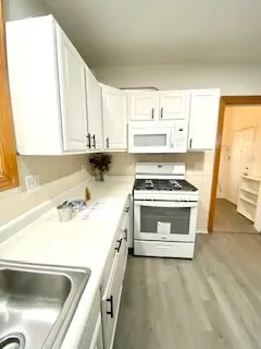 $1,800 | 5225 West Deming Place, Unit 2, Chicago, IL 60639