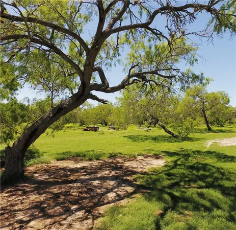 $6,003,000 | 0 South County Road 1010, Kingsville, TX 78363