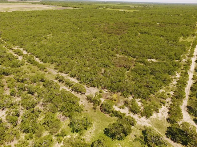 $6,003,000 | 0 South County Road 1010, Kingsville, TX 78363