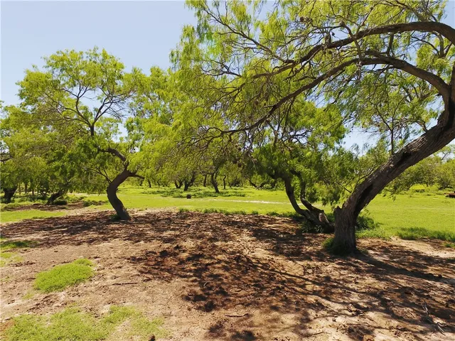 $6,003,000 | 0 South County Road 1010, Kingsville, TX 78363