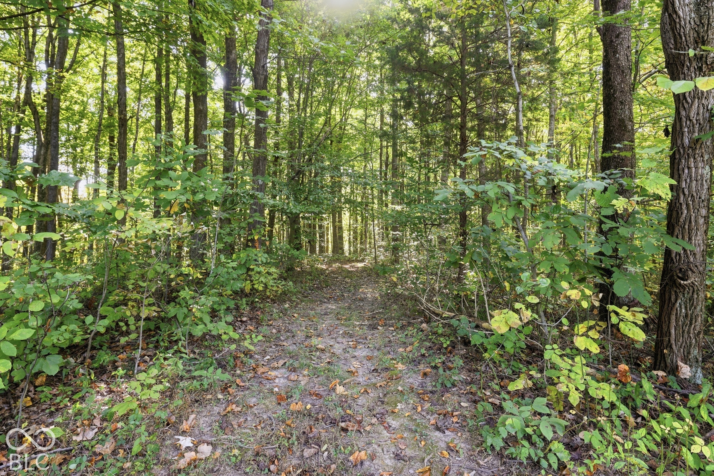 9681 Short Chute Road Morgantown, IN 46160 - Photo 41 of 55 Gallery Image 41