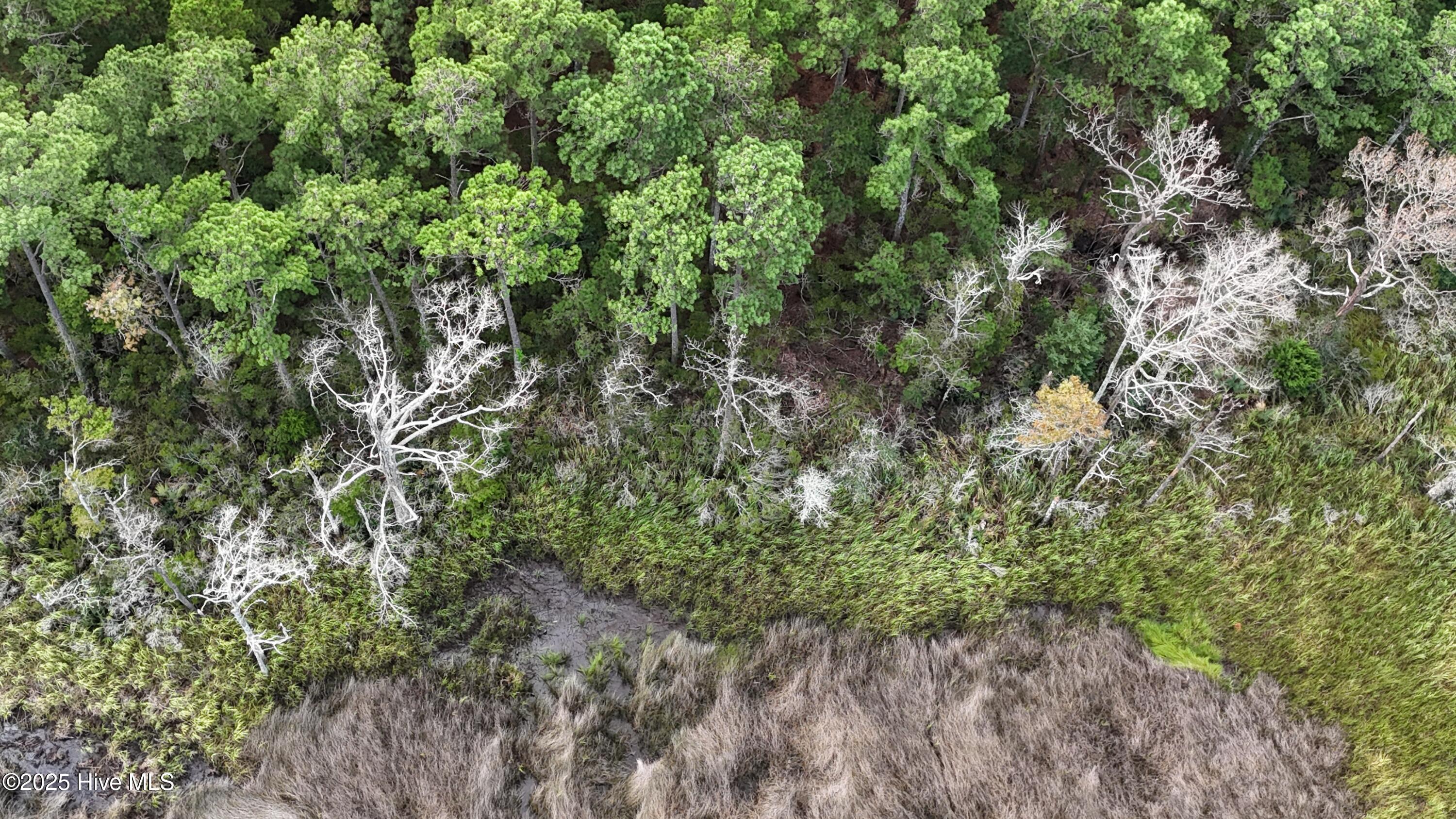 239 Garbacon Drive Beaufort, NC 28516 - Photo 15 of 33 DJI_20250805092732_0330_D