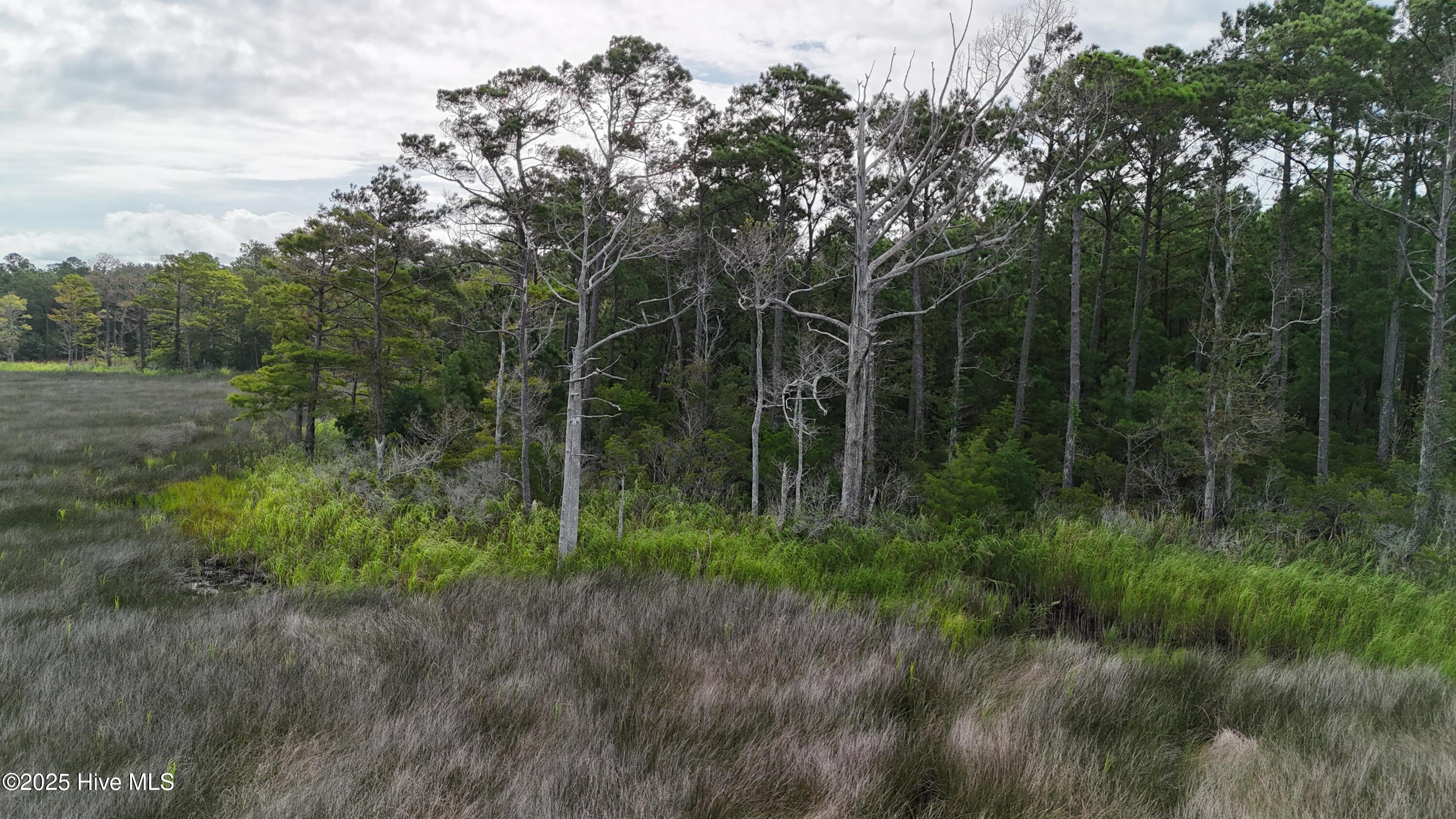 239 Garbacon Drive Beaufort, NC 28516 - Photo 16 of 33 DJI_20250805092636_0325_D