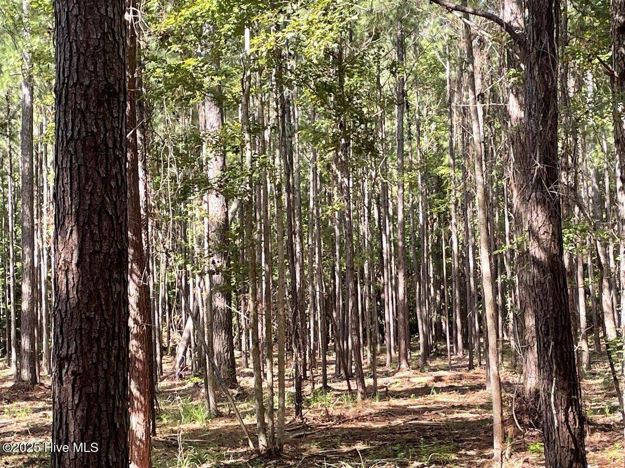 239 Garbacon Drive Beaufort, NC 28516 - Photo 19 of 33 IMG_4450 Large