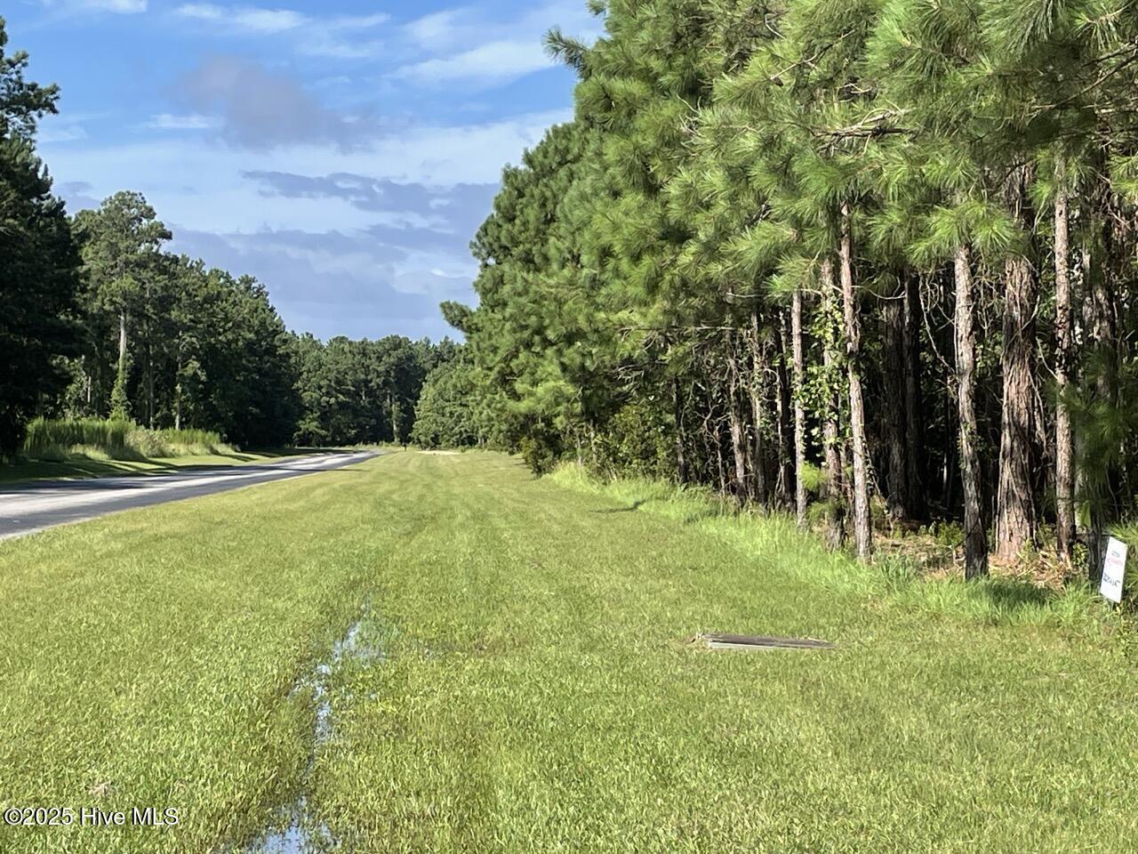 239 Garbacon Drive Beaufort, NC 28516 - Photo 21 of 33 IMG_4452 Large