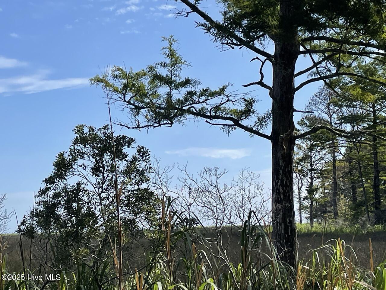 239 Garbacon Drive Beaufort, NC 28516 - Photo 7 of 33 IMG_4445 Large